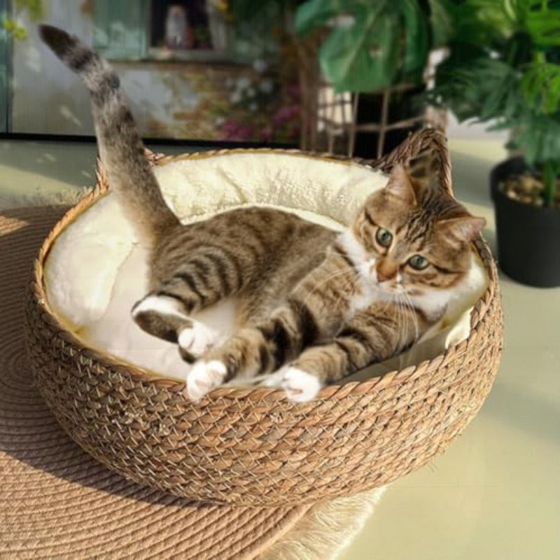 Natural Cat Bed Straw Nest Woven Pet House Handmade Braided Cattail Leaf with Soft Cushion 17 x 17 Inches